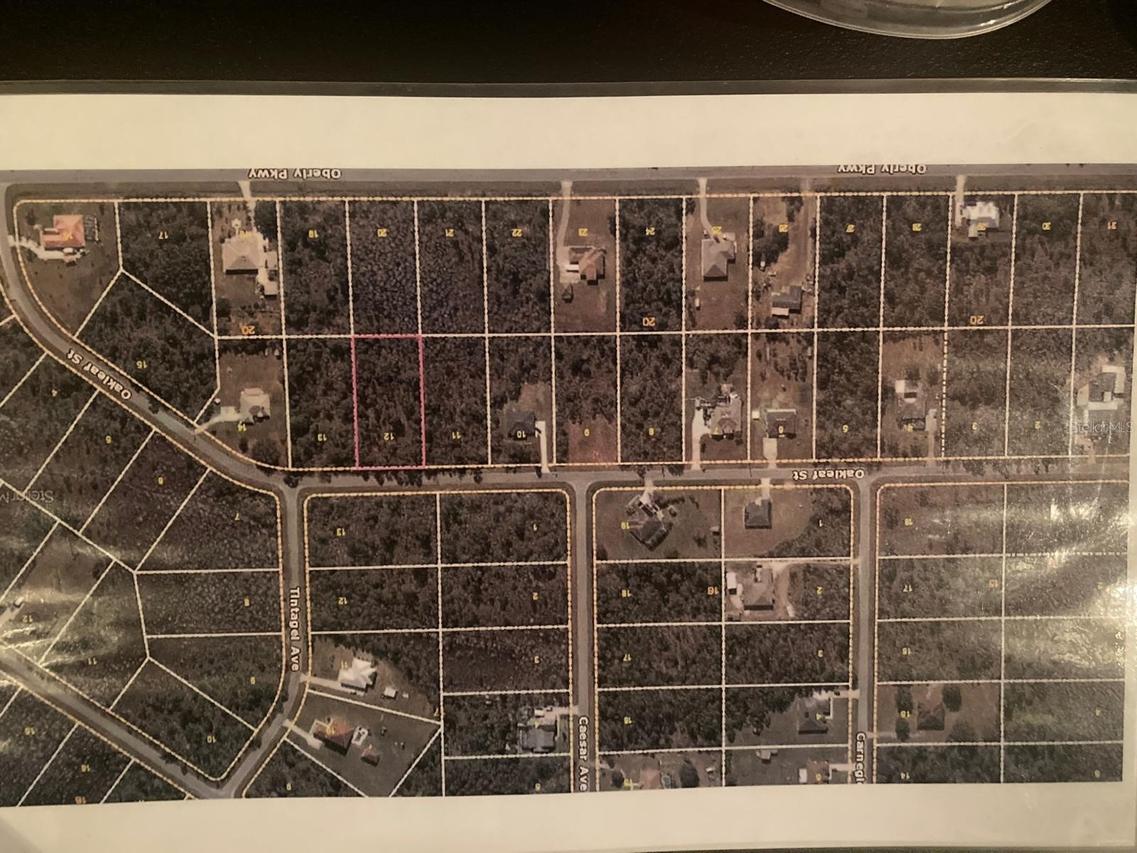 Oakleaf St., Orlando, FL 32833