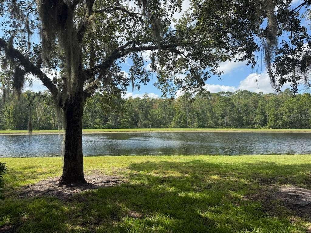 3460 Victoria Pines Dr. #160, Orlando, FL 32829