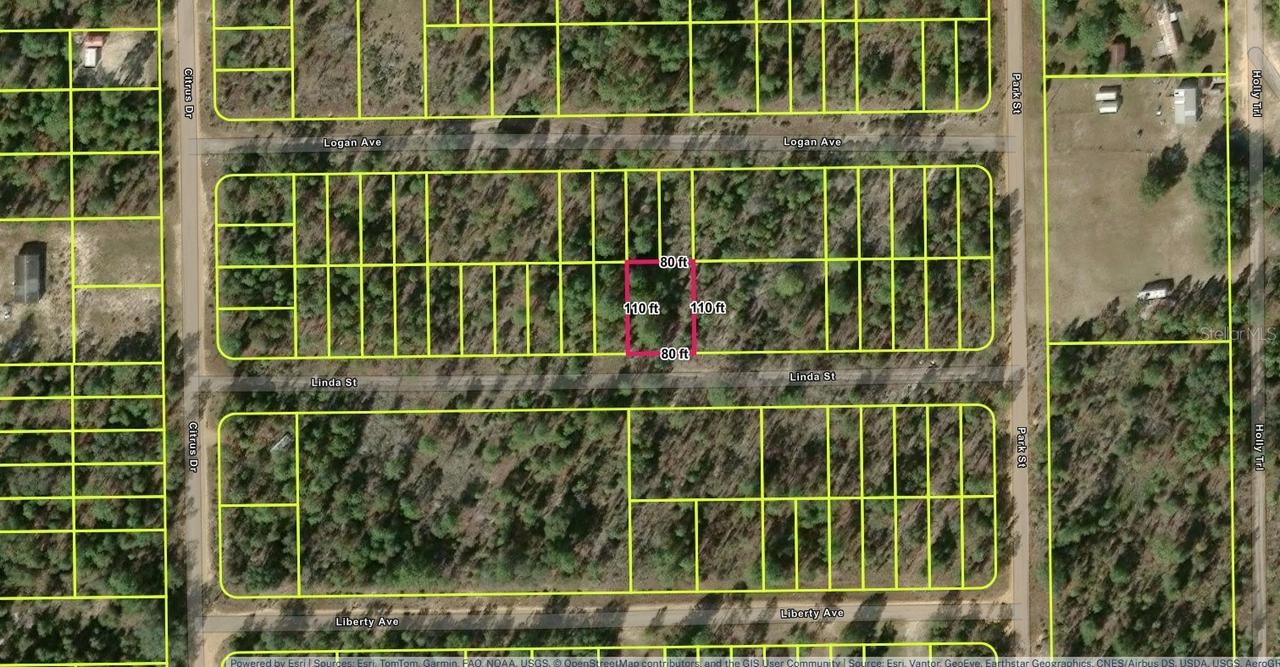 118 Linda Ln., Interlachen, FL 32148