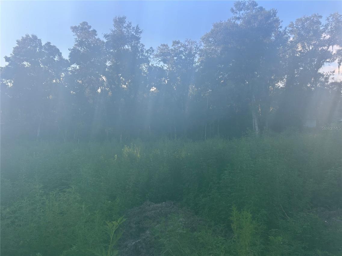 3528 W Nieman Dr., Dunnellon, FL 34433