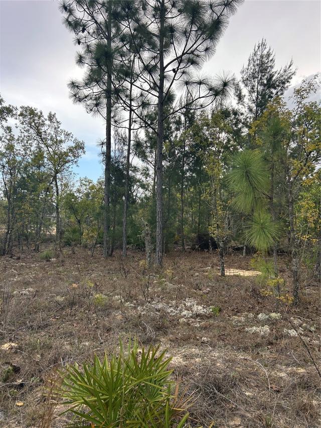 3528 W Nieman Dr., Dunnellon, FL 34433