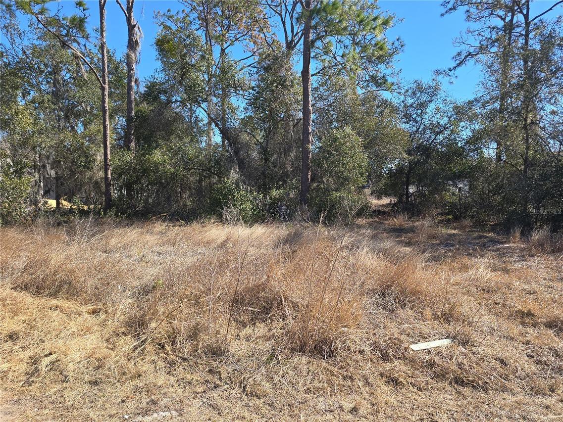 1344 Congo Ct., Kissimmee, FL 34759