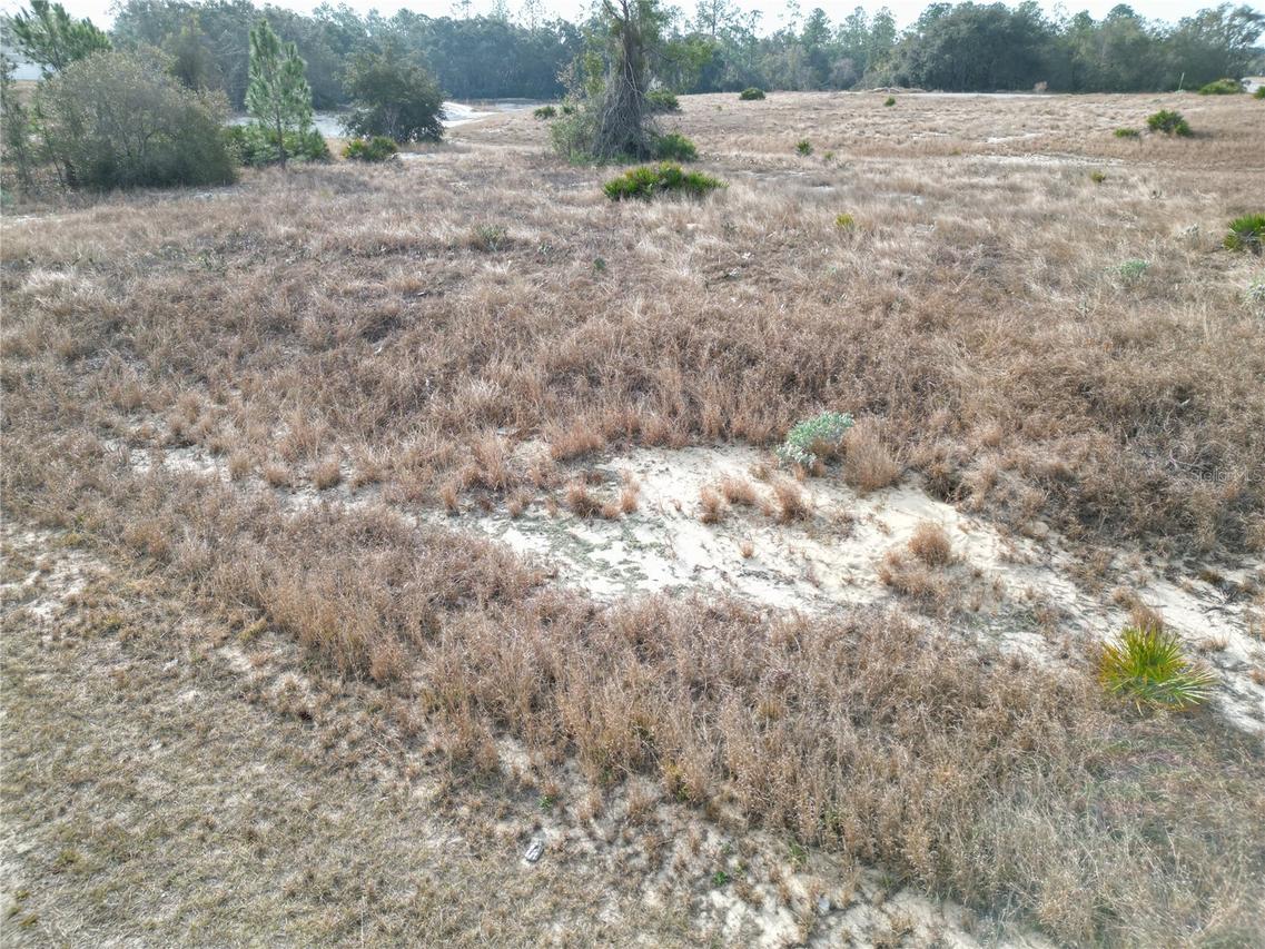 1319 Hillsborough Ln., Kissimmee, FL 34759