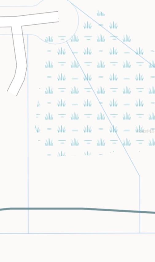 Nutmeg St., Orlando, FL 32833