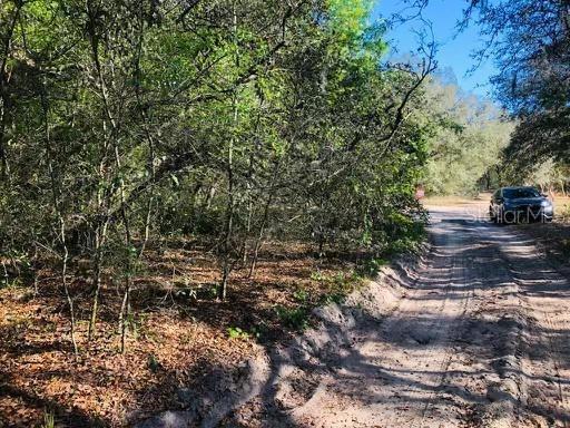 Oakridge Dr., Lady Lake, FL 32159