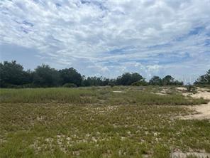 1322 Hillsborough Dr., Kissimmee, FL 34759