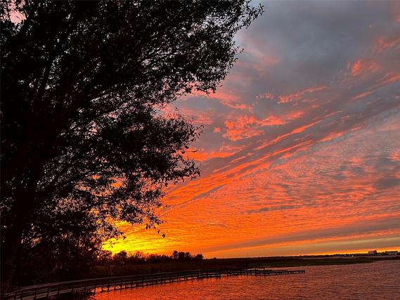 New Construction Homes For Sale This Week That Attend Neptune Middle School: February 11th to February 17th