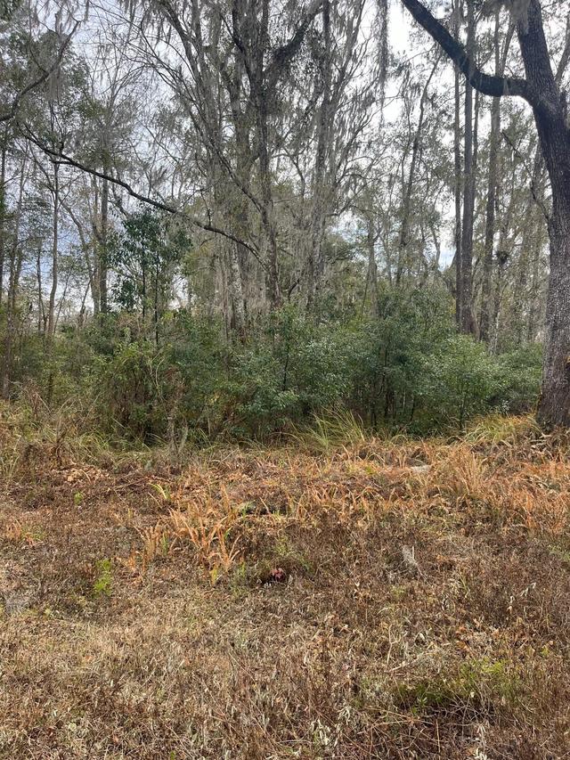 Ward Ave., Brooksville, FL 34601