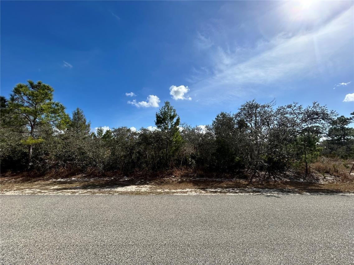 [Address Hidden by Seller], Sebring, FL 33872