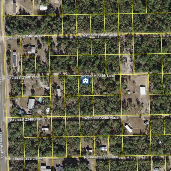 15350 NE 234th Ln., Fort Mc Coy, FL 32134