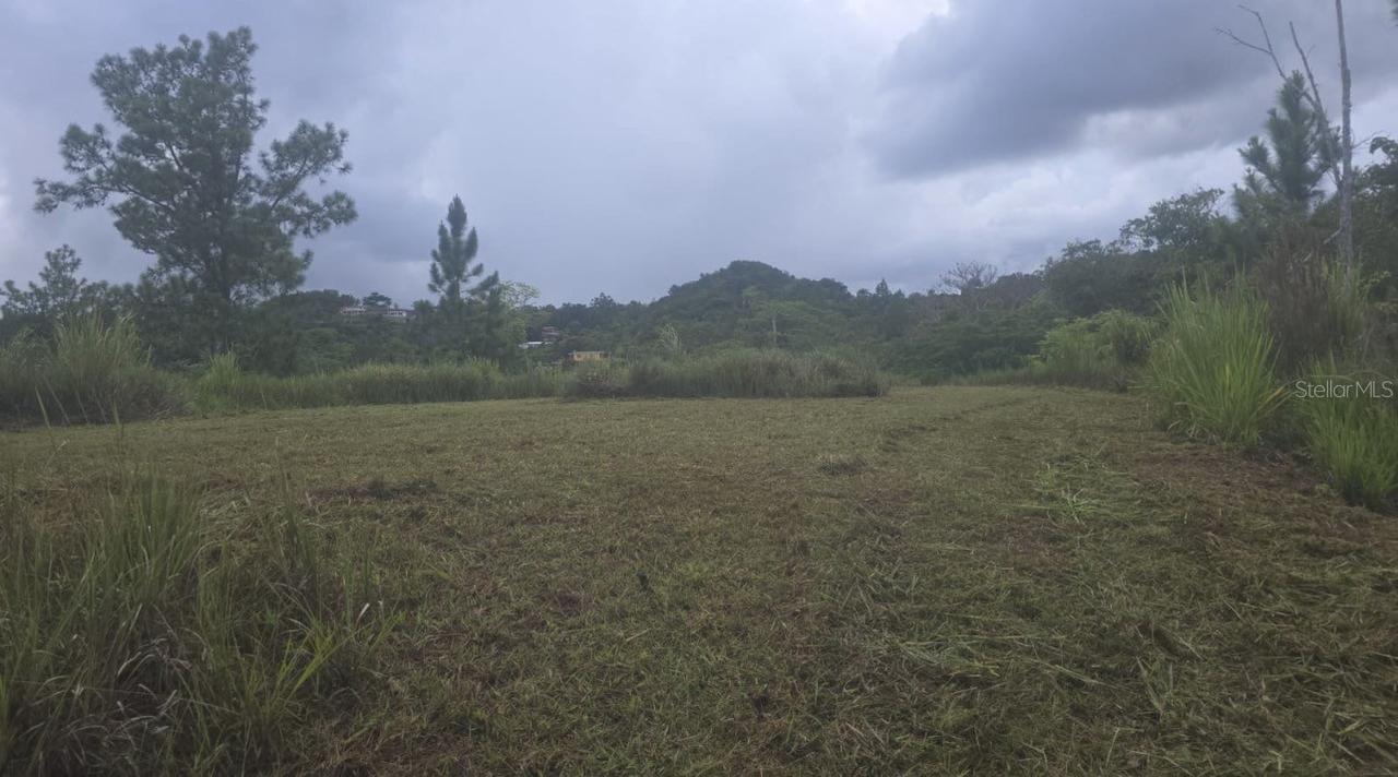 31 Fort Myers Dr., Indian Lake Estates, FL 33855