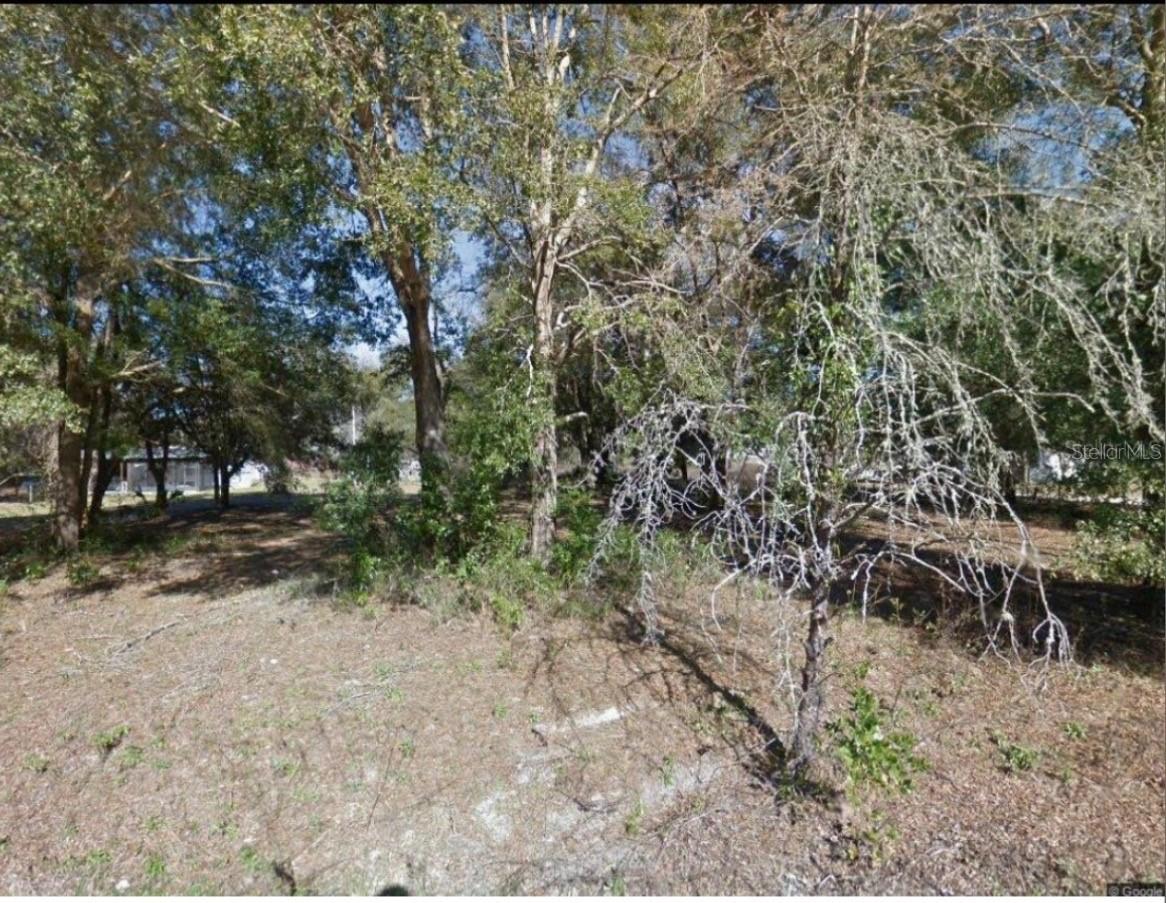 17449 Nw 89th Ter, Fanning Springs, FL 32693
