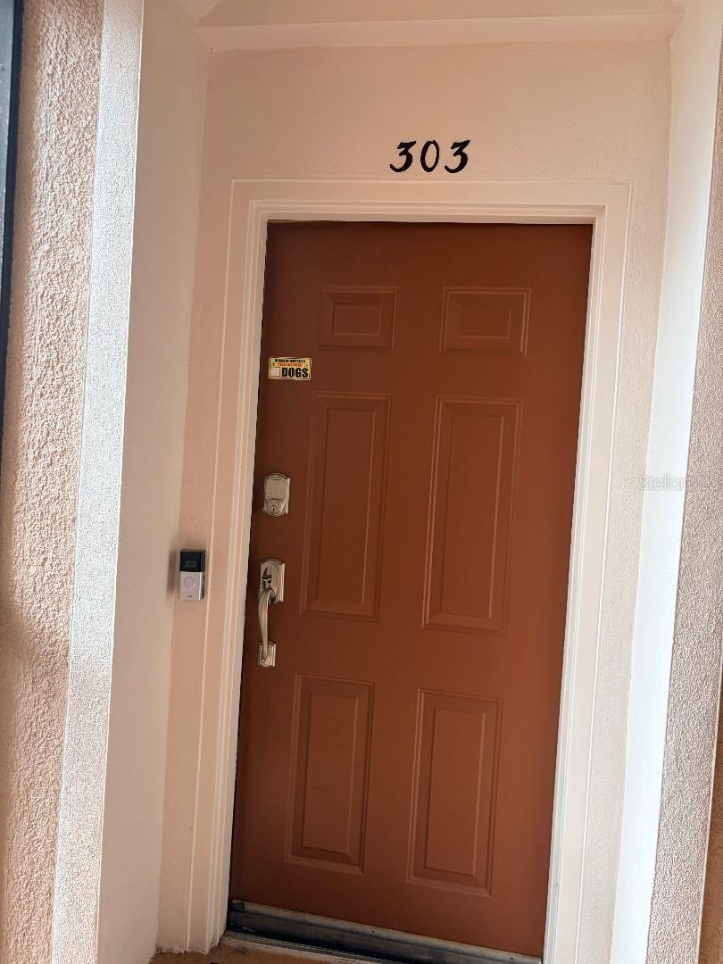 1357 Venezia Ct. #303, Davenport, FL 33896