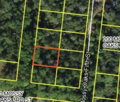200 Mossy Oaks 4th St., Quincy, FL 32351