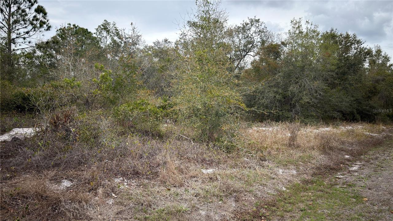 336 Pershing Ave., Lake Placid, FL 33852