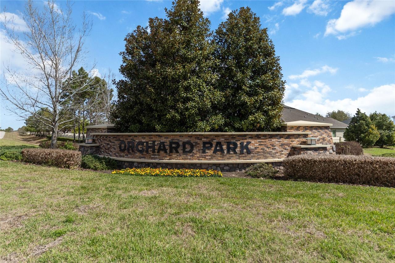 3089 Irish Peach Dr., Winter Garden, FL 34787