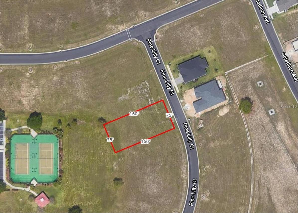 253 Pine Lilly Ct., Lake Alfred, FL 33850