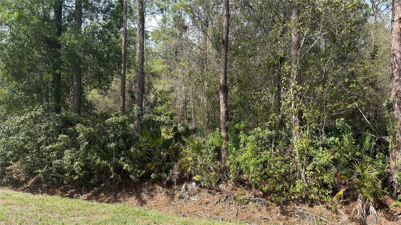 4801 E La Flam Rd., Avon Park, FL 33825