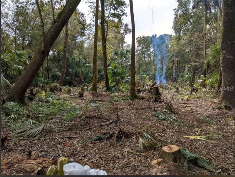 11939 W Wildflower St., Crystal River, FL 34428