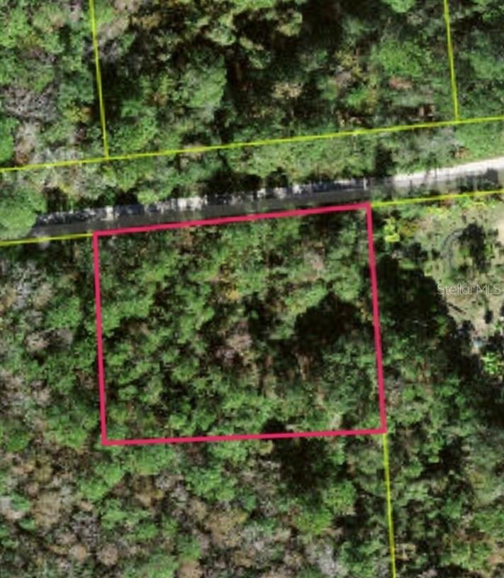 Lot 48 Amelia Tr., Kissimmee, FL 34747