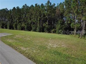 Lake Smith Rd., Umatilla, FL 32784