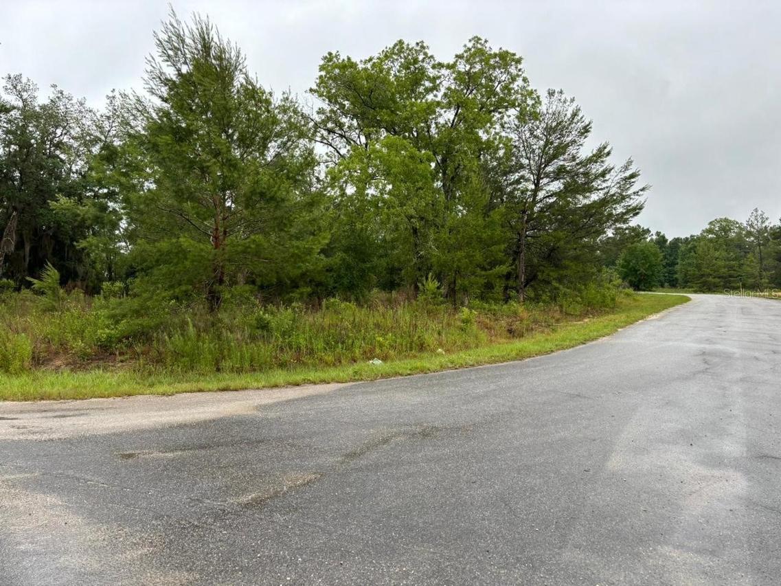 1 Malauka Radial Dr., Ocklawaha, FL 32179