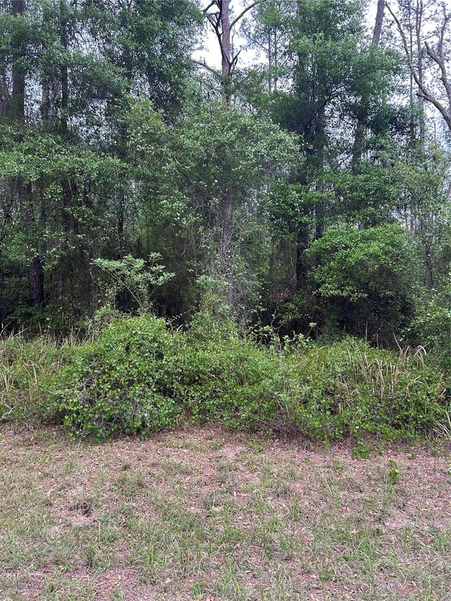 6265 N Allston Ter., Dunnellon, FL 34433