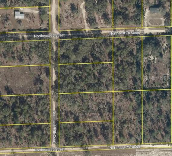 NE 97th Ct., Bronson, FL 32621