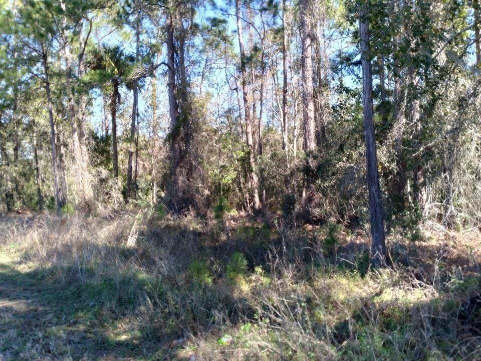 0000 Poyner Rd., Polk City, FL 33868