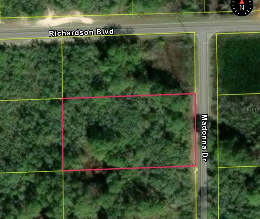 Madonna Dr, Lot 2 Dr., Webster, FL 33597