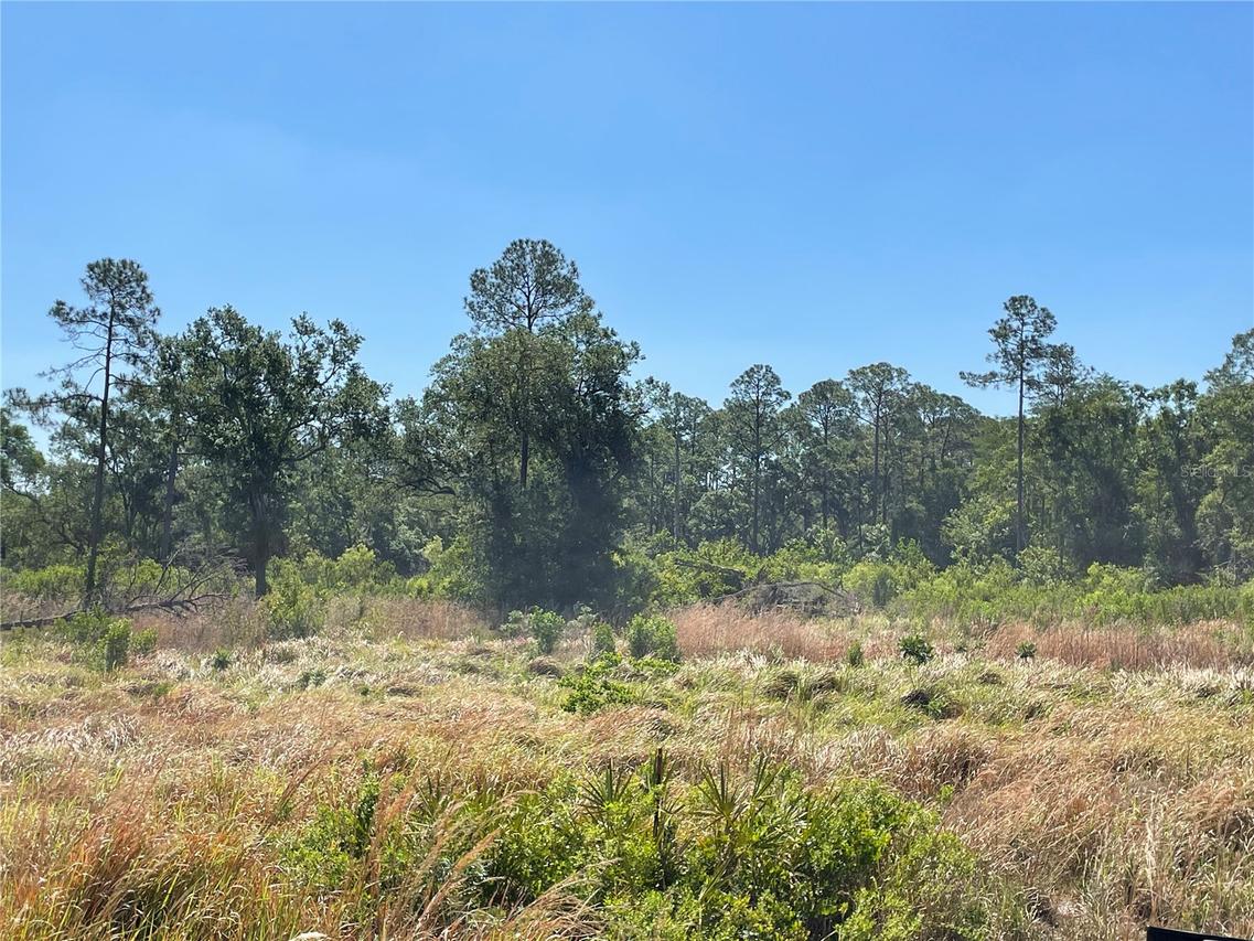 8 Avonwood St., Tampa, FL 33625