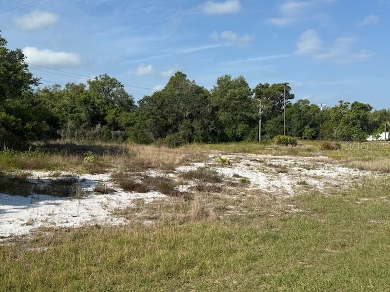 Cedarwood Dr., Lake Wales, FL 33898