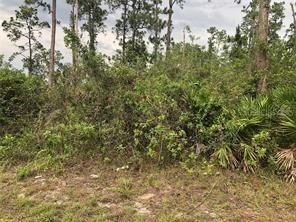 19619 NW 242nd St., Okeechobee, FL 34972
