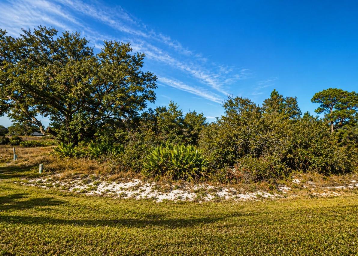 320 Bowfin Dr., Kissimmee, FL 34759