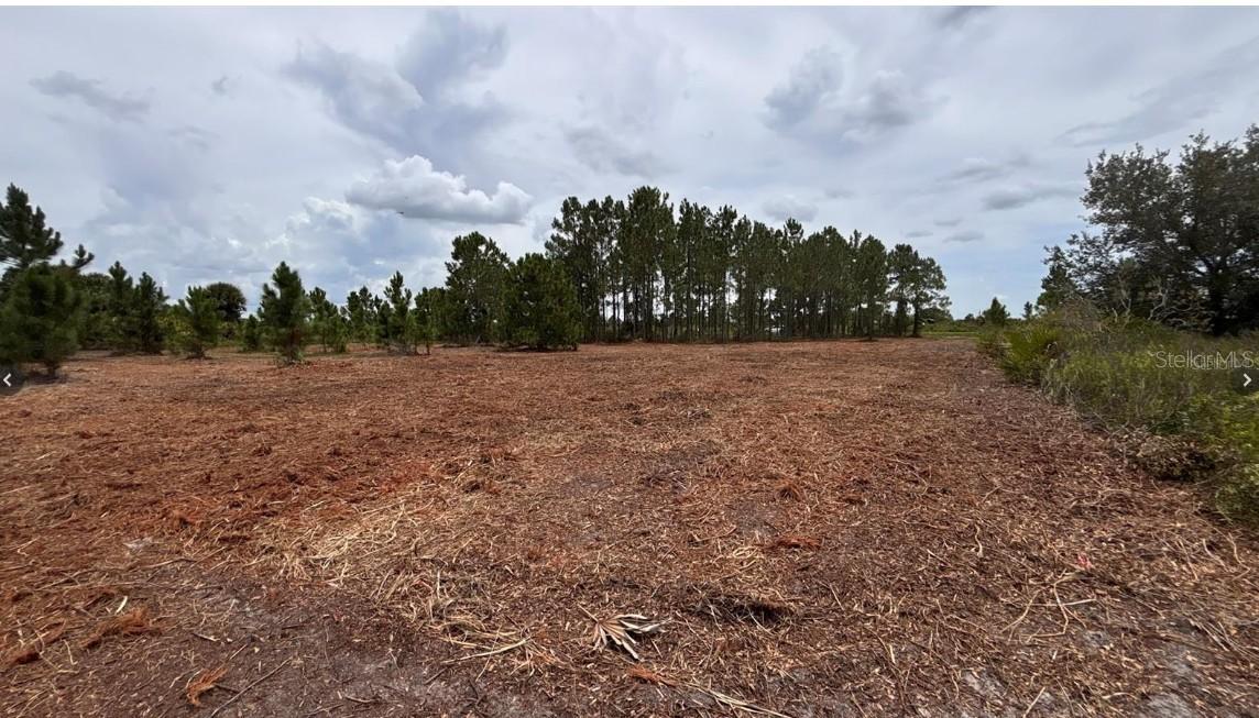 18121 NW 304th St., Okeechobee, FL 34972