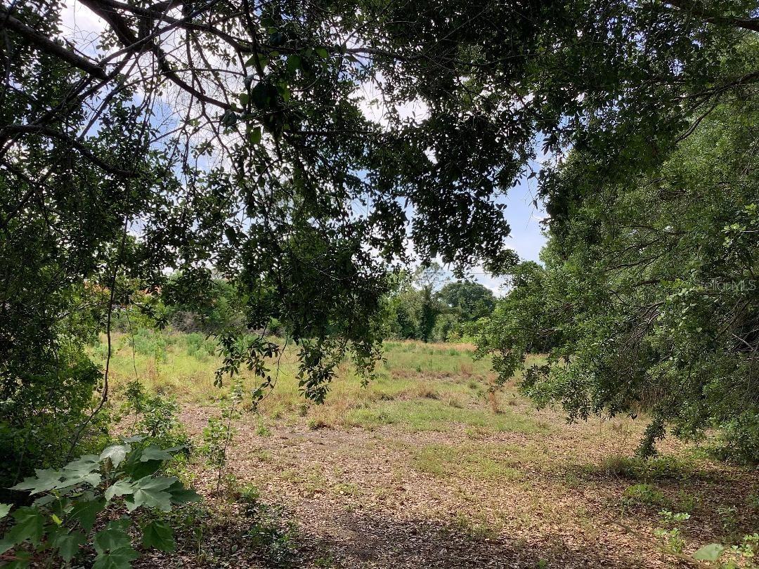 Winners Cir., Kissimmee, FL 34744