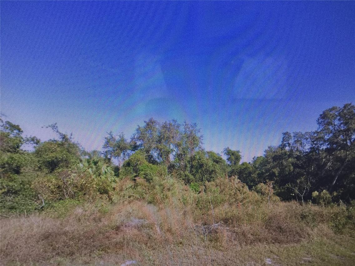 407 Baltic Ct., Kissimmee, FL 34759
