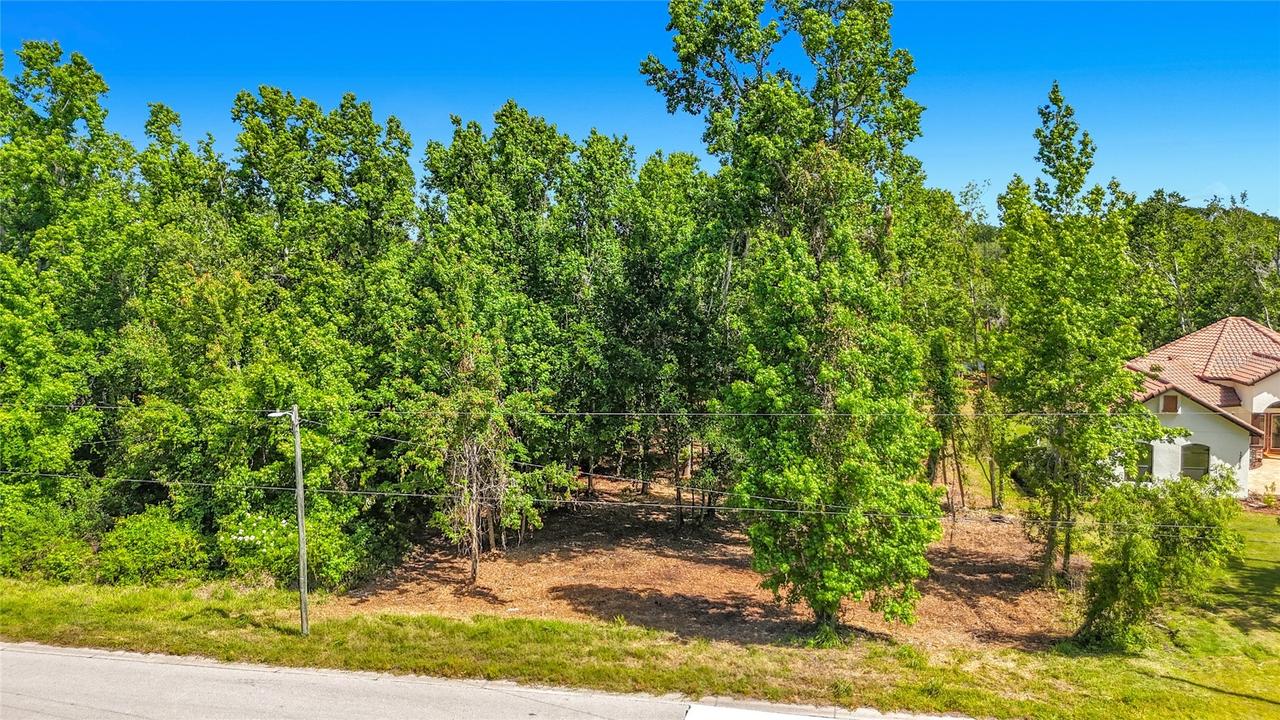 Lot 19  Lake Hills Dr., Riverview, FL 33569