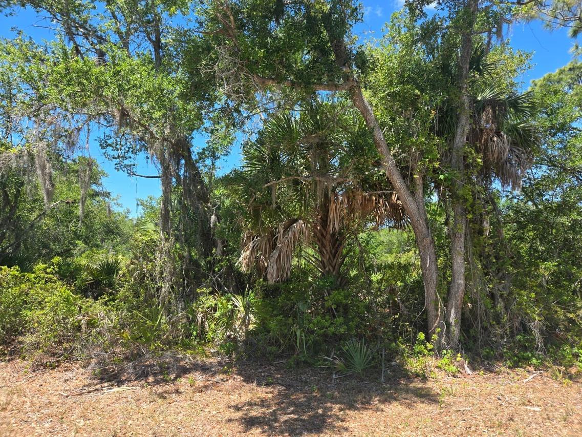 3137 Calexico St., Port Charlotte, FL 33948