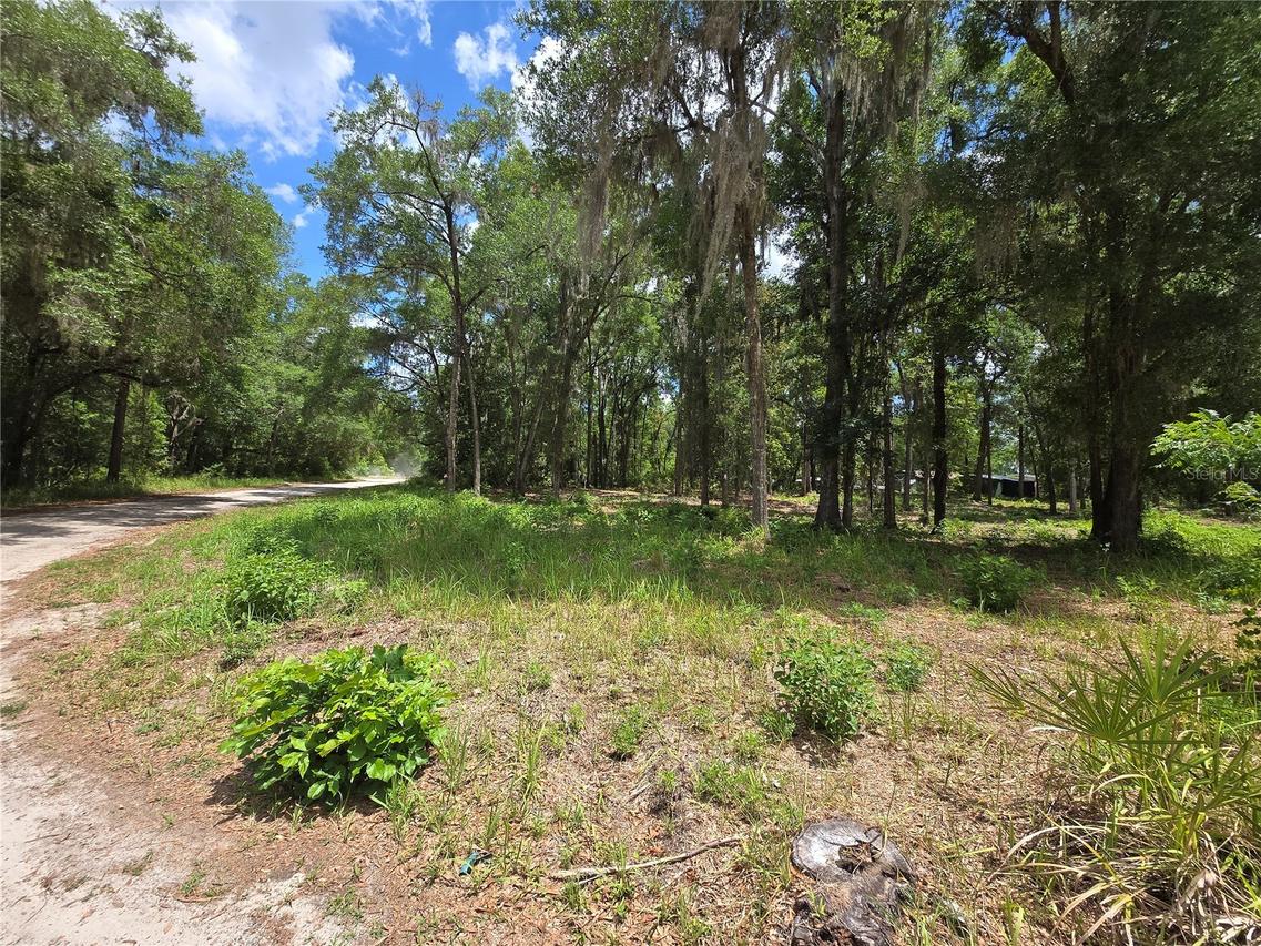 SW 15th Pl., Ocala, FL 34481