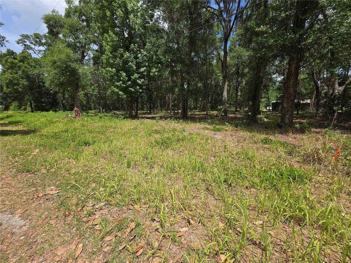 SW 15th Pl., Ocala, FL 34481
