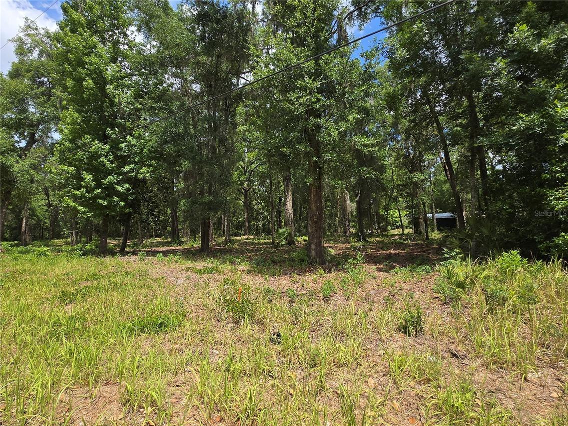 SW 15th Pl., Ocala, FL 34481