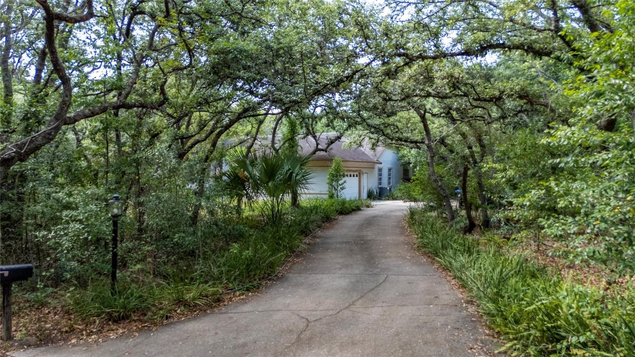 6781 W Livingston St., Orlando, FL 32835