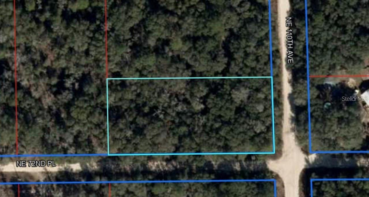 NE 110th Ave., Bronson, FL 32621