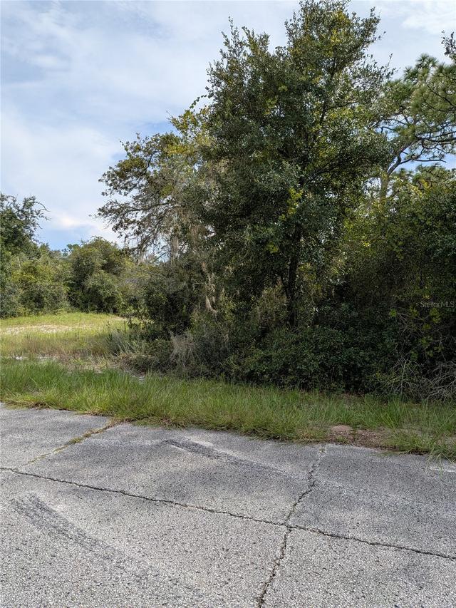 408 Vernon Ct., Kissimmee, FL 34759