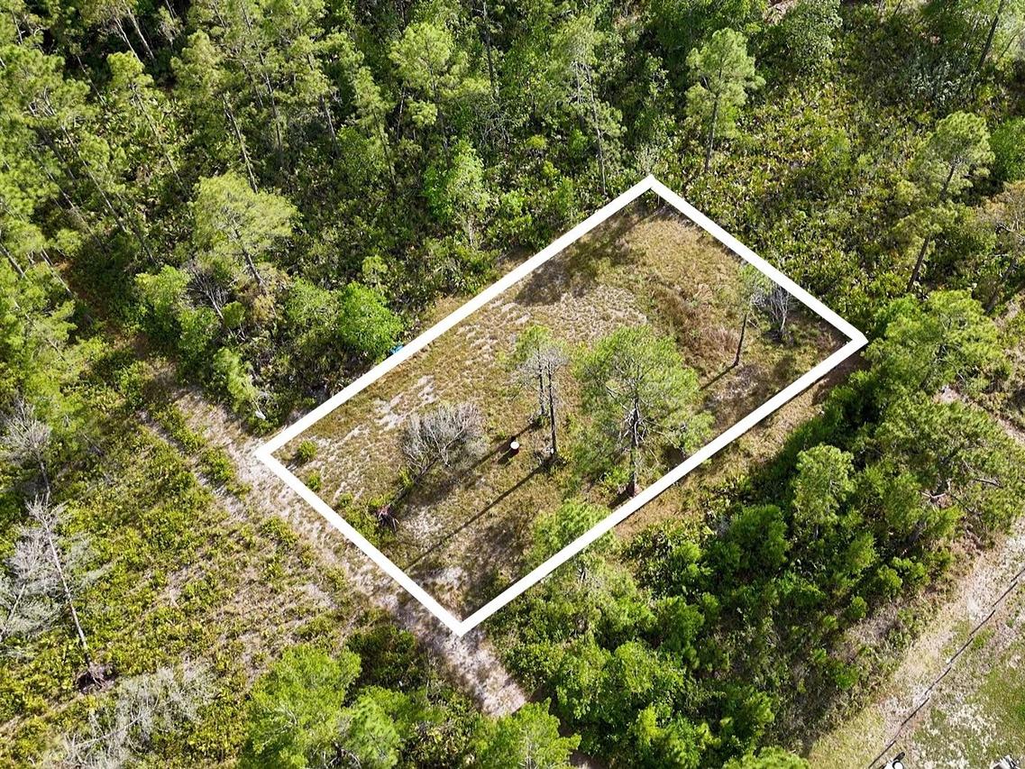 56309 Virginia St., Paisley, FL 32767