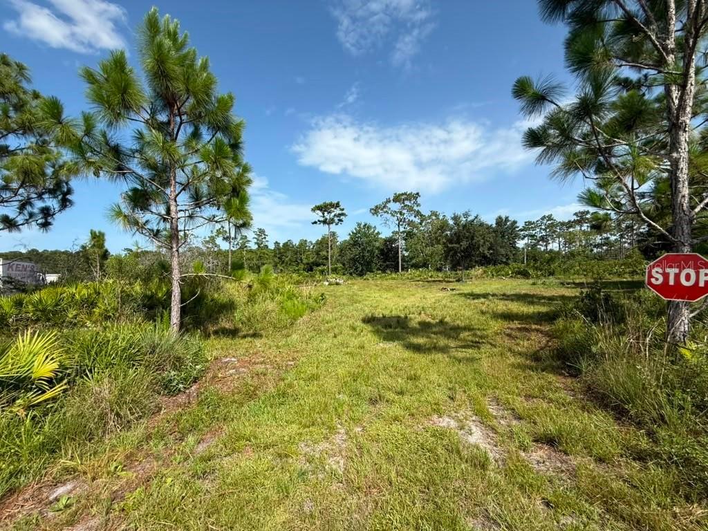 6139 Krazy, St Cloud, FL 34773