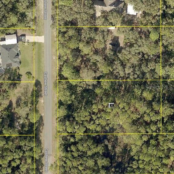 [Address Hidden by Seller], Eustis, FL 32736