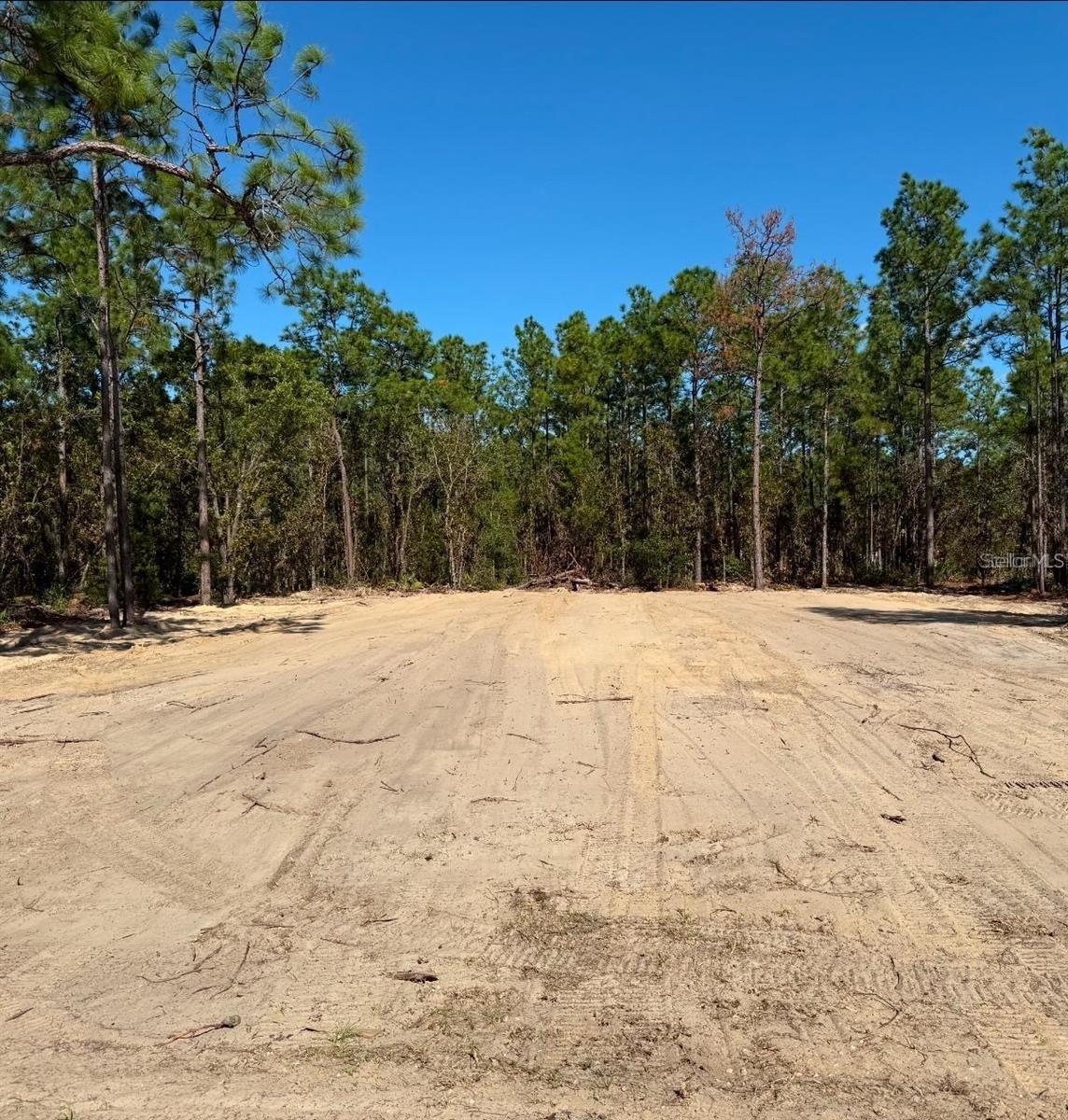 13831 SW 89th Cir., Ocala, FL 34473