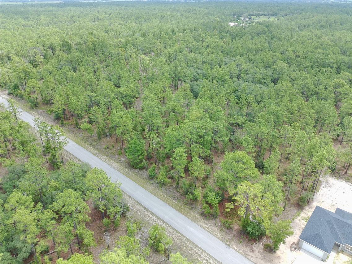 SW Buena Vista Rd., Dunnellon, FL 34431